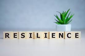 resilience