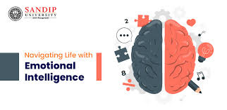Emotional Intelligence
