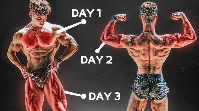 The Perfect Workout Split for Muscle Growth: A Comprehensive Guide