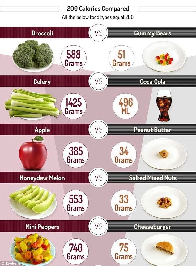 Calories: The Tiny Units That Fuel Our Lives