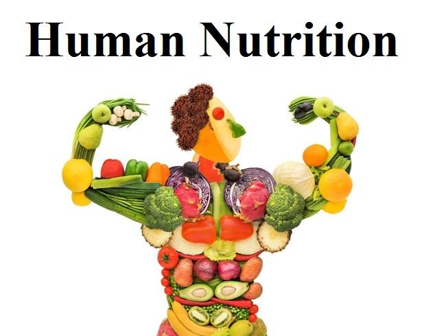Growth, Metabolism, and Repair