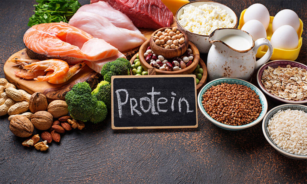 Macronutrients: The Foundations of a Healthy Diet
