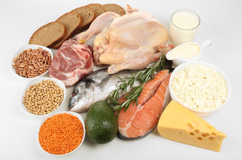 Macronutrients: The Foundations of a Healthy Diet